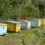 ΣΗΜΕΡΑ: Οι μελισσοκόμοι της Πάτρας… πάνε Σύνταγμα