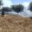 Αχαΐα: Νέα πυρκαγιά στα Χαρμπιλέικα – Μάχη με τις φλόγες δίνει η Πυροσβεστική