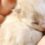 Πρόστιμο 120.000 ευρώ σε 75χρονη στο Βόλο, που πέταξε νεογέννητα γατάκια στα σκουπίδια