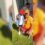 Πατρινός ναυαγοσώστης έσωσε 6χρονη από βέβαιο πνιγμό σε πισίνα ξενοδοχειακής μονάδας στο Καλαμάκι Ζακύνθου